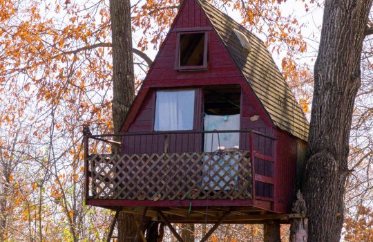 בתי עץ לילדים2